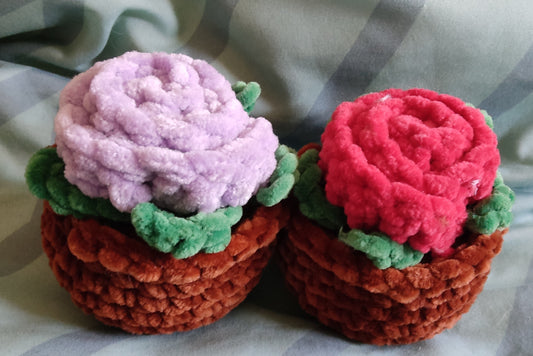 🌼 Fleur éternelle en pot : Zéro arrosage, 100 % câlin !